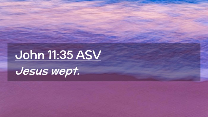 Picture 02 - John 11:35 ASV Desktop Wallpaper - Jesus - Desktop Bible Verse Wallpaper