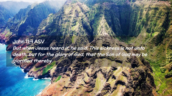 Picture 02 - John 11:4 ASV Desktop Wallpaper - But when Jesus heard it, he said, This sickness - Desktop Bible Verse Wallpaper