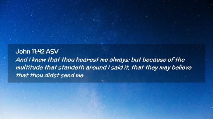 Picture 02 - John 11:42 ASV Desktop Wallpaper - And I knew that thou hearest me always: but - Desktop Bible Verse Wallpaper