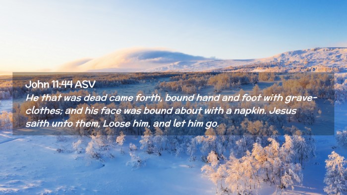 Picture 02 - John 11:44 ASV Desktop Wallpaper - He that was dead came forth, bound hand and foot - Desktop Bible Verse Wallpaper