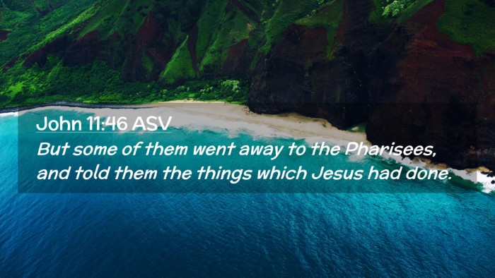 Picture 02 - John 11:46 ASV Desktop Wallpaper - But some of them went away to the Pharisees, and - Desktop Bible Verse Wallpaper