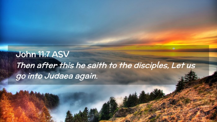 Picture 02 - John 11:7 ASV Desktop Wallpaper - Then after this he saith to the disciples, Let us - Desktop Bible Verse Wallpaper