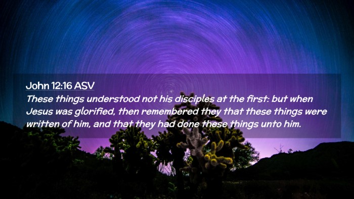 Picture 02 - John 12:16 ASV Desktop Wallpaper - These things understood not his disciples at the - Desktop Bible Verse Wallpaper