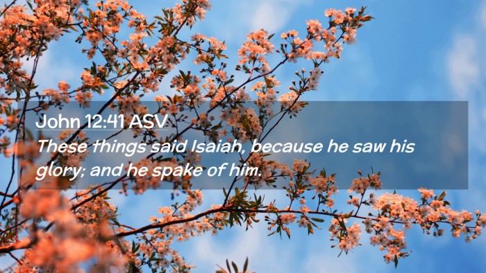 Picture 02 - John 12:41 ASV Desktop Wallpaper - These things said Isaiah, because he saw his - Desktop Bible Verse Wallpaper