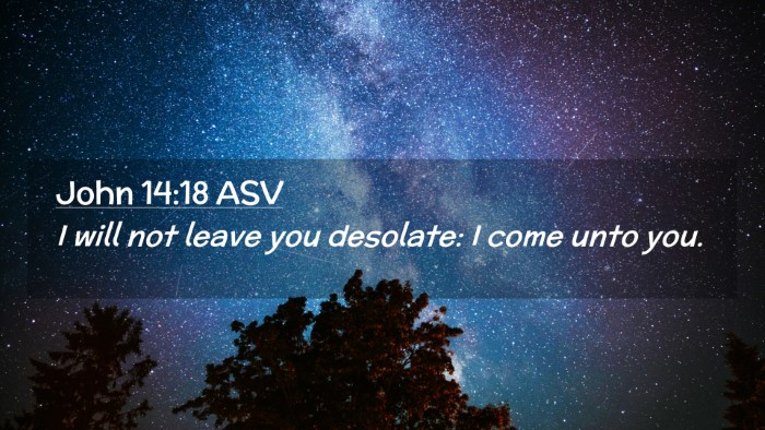 Picture 02 - John 14:18 ASV Desktop Wallpaper - I will not leave you desolate: I come unto - Desktop Bible Verse Wallpaper