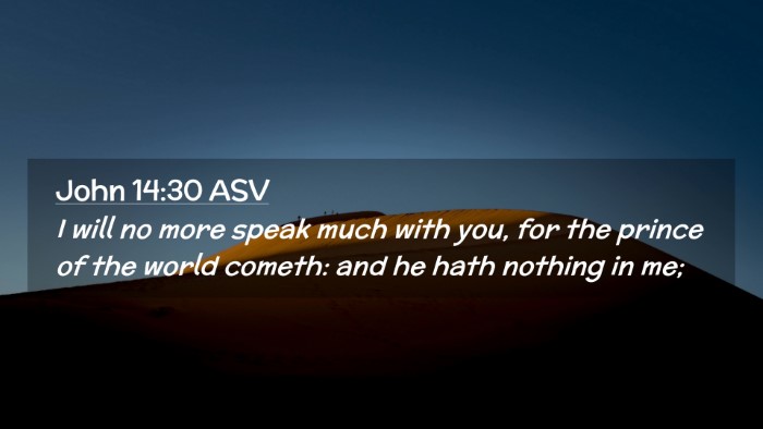 Picture 02 - John 14:30 ASV Desktop Wallpaper - I will no more speak much with you, for the - Desktop Bible Verse Wallpaper