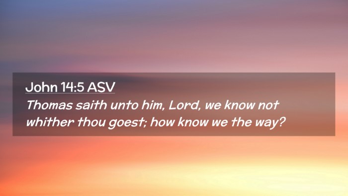 Picture 02 - John 14:5 ASV Desktop Wallpaper - Thomas saith unto him, Lord, we know not whither - Desktop Bible Verse Wallpaper