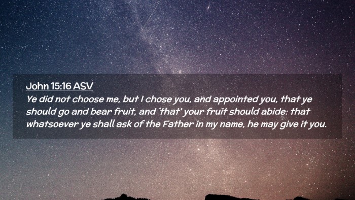 Picture 02 - John 15:16 ASV Desktop Wallpaper - Ye did not choose me, but I chose you, and - Desktop Bible Verse Wallpaper