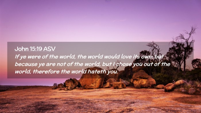 Picture 02 - John 15:19 ASV Desktop Wallpaper - If ye were of the world, the world would love its - Desktop Bible Verse Wallpaper