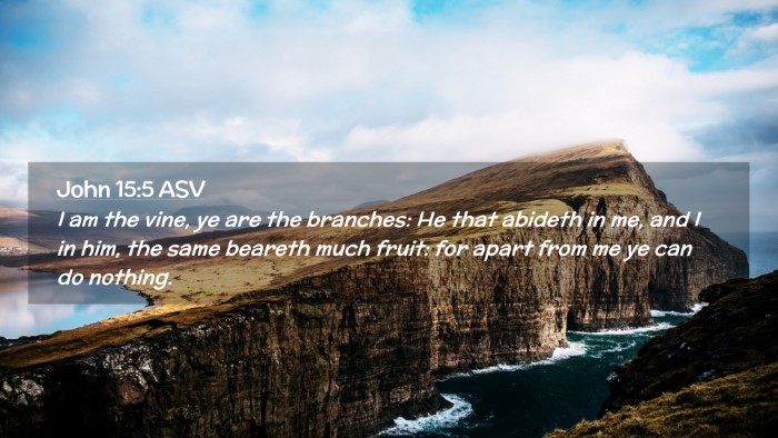 Picture 02 - John 15:5 ASV Desktop Wallpaper - I am the vine, ye are the branches: He that - Desktop Bible Verse Wallpaper