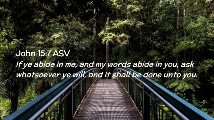 Picture 02 - John 15:7 ASV Desktop Wallpaper - If ye abide in me, and my words abide in you, ask - Desktop Bible Verse Wallpaper