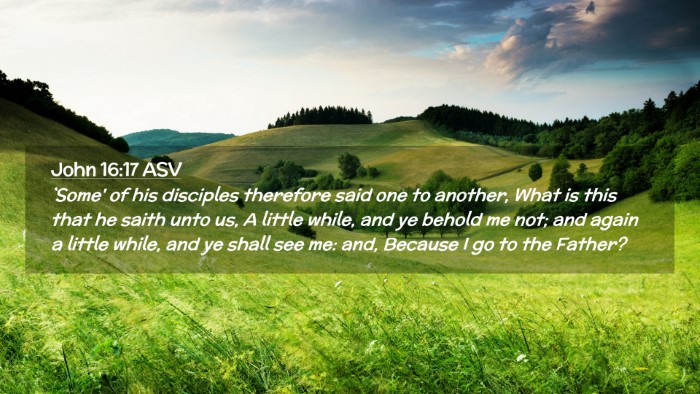 Picture 02 - John 16:17 ASV Desktop Wallpaper - `Some' of his disciples therefore said one to - Desktop Bible Verse Wallpaper