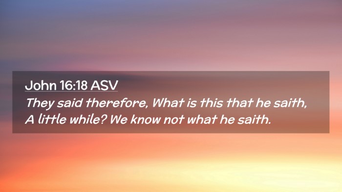 Picture 02 - John 16:18 ASV Desktop Wallpaper - They said therefore, What is this that he saith, - Desktop Bible Verse Wallpaper