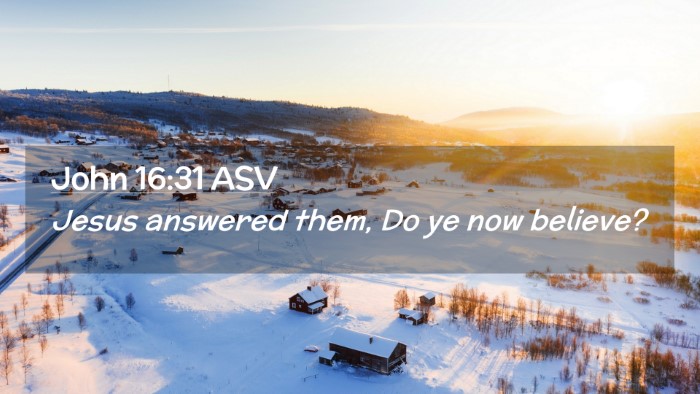 Picture 02 - John 16:31 ASV Desktop Wallpaper - Jesus answered them, Do ye now - Desktop Bible Verse Wallpaper