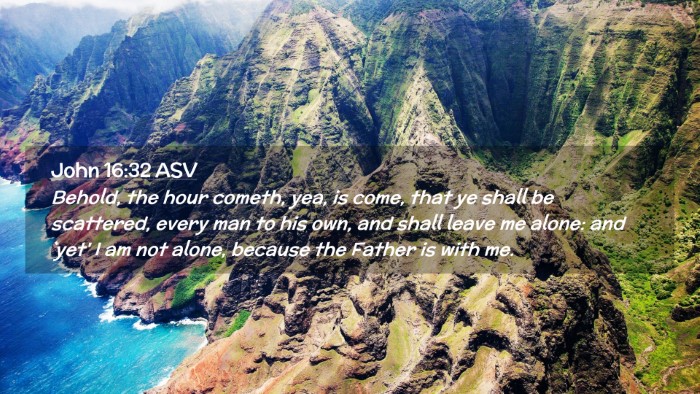 Picture 02 - John 16:32 ASV Desktop Wallpaper - Behold, the hour cometh, yea, is come, that ye - Desktop Bible Verse Wallpaper