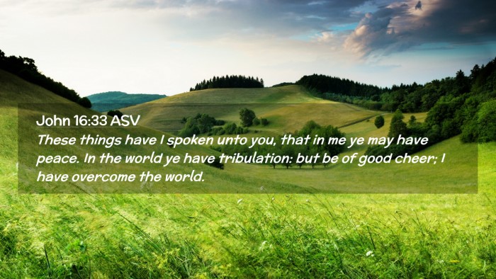 Picture 02 - John 16:33 ASV Desktop Wallpaper - These things have I spoken unto you, that in me - Desktop Bible Verse Wallpaper
