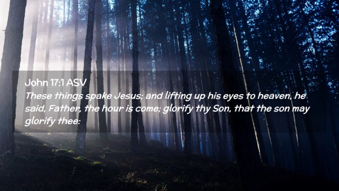 Picture 02 - John 17:1 ASV Desktop Wallpaper - These things spake Jesus; and lifting up his eyes - Desktop Bible Verse Wallpaper