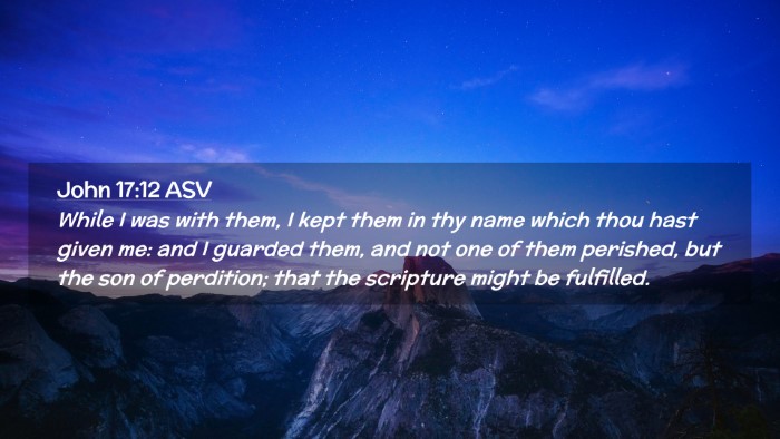 Picture 02 - John 17:12 ASV Desktop Wallpaper - While I was with them, I kept them in thy name - Desktop Bible Verse Wallpaper