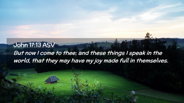 Picture 02 - John 17:13 ASV Desktop Wallpaper - But now I come to thee; and these things I speak - Desktop Bible Verse Wallpaper