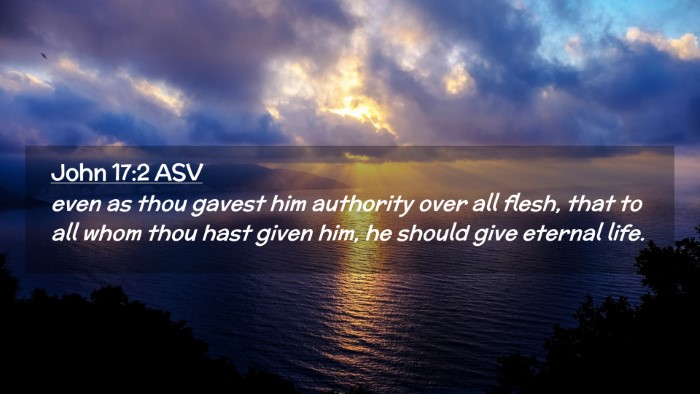 Picture 02 - John 17:2 ASV Desktop Wallpaper - even as thou gavest him authority over all flesh, - Desktop Bible Verse Wallpaper