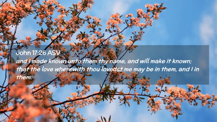 Picture 02 - John 17:26 ASV Desktop Wallpaper - and I made known unto them thy name, and will - Desktop Bible Verse Wallpaper