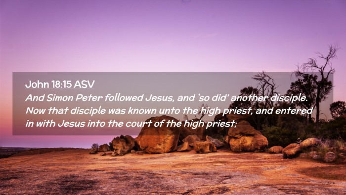 Picture 02 - John 18:15 ASV Desktop Wallpaper - And Simon Peter followed Jesus, and `so did' - Desktop Bible Verse Wallpaper