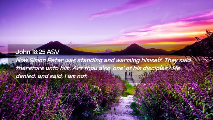 Picture 02 - John 18:25 ASV Desktop Wallpaper - Now Simon Peter was standing and warming himself. - Desktop Bible Verse Wallpaper