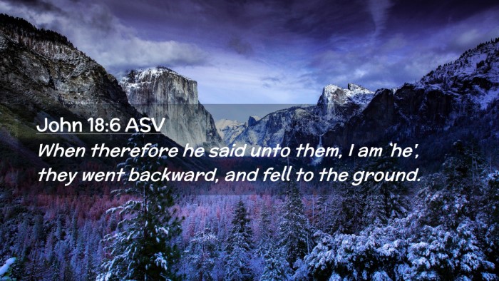 Picture 02 - John 18:6 ASV Desktop Wallpaper - When therefore he said unto them, I am `he', they - Desktop Bible Verse Wallpaper