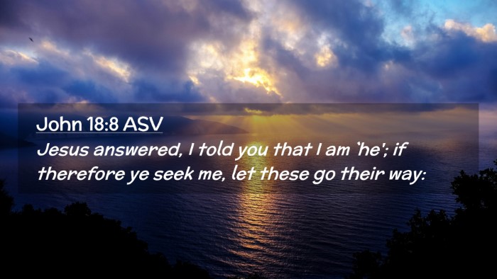 Picture 02 - John 18:8 ASV Desktop Wallpaper - Jesus answered, I told you that I am `he'; if - Desktop Bible Verse Wallpaper