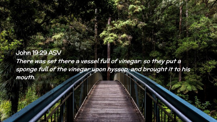 Picture 02 - John 19:29 ASV Desktop Wallpaper - There was set there a vessel full of vinegar: so - Desktop Bible Verse Wallpaper
