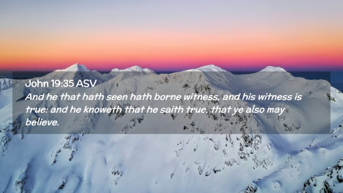 Picture 02 - John 19:35 ASV Desktop Wallpaper - And he that hath seen hath borne witness, and his - Desktop Bible Verse Wallpaper