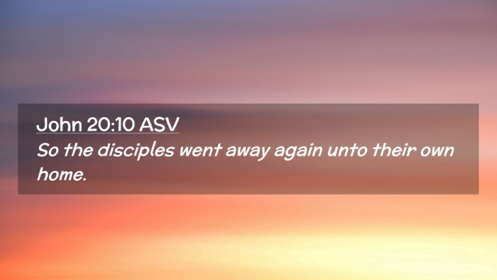 Picture 02 - John 20:10 ASV Desktop Wallpaper - So the disciples went away again unto their own - Desktop Bible Verse Wallpaper