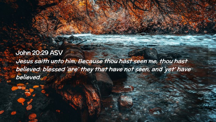Picture 02 - John 20:29 ASV Desktop Wallpaper - Jesus saith unto him, Because thou hast seen me, - Desktop Bible Verse Wallpaper