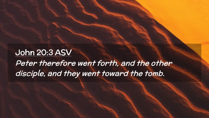 Picture 02 - John 20:3 ASV Desktop Wallpaper - Peter therefore went forth, and the other - Desktop Bible Verse Wallpaper