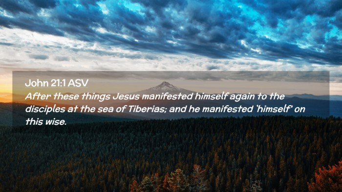 Picture 02 - John 21:1 ASV Desktop Wallpaper - After these things Jesus manifested himself again - Desktop Bible Verse Wallpaper