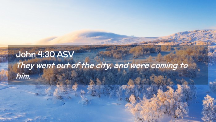 Picture 02 - John 4:30 ASV Desktop Wallpaper - They went out of the city, and were coming to - Desktop Bible Verse Wallpaper