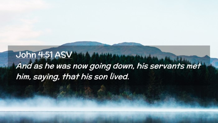 Picture 02 - John 4:51 ASV Desktop Wallpaper - And as he was now going down, his servants met - Desktop Bible Verse Wallpaper