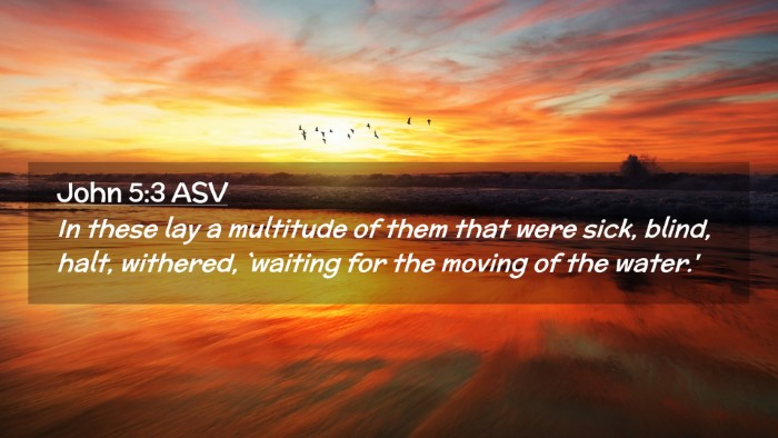 Picture 02 - John 5:3 ASV Desktop Wallpaper - In these lay a multitude of them that were sick, - Desktop Bible Verse Wallpaper