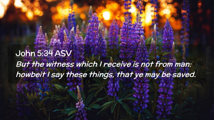 Picture 02 - John 5:34 ASV Desktop Wallpaper - But the witness which I receive is not from man: - Desktop Bible Verse Wallpaper