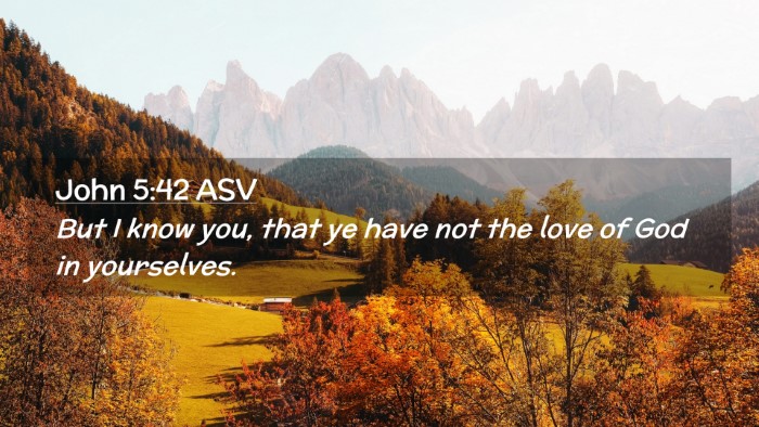 Picture 02 - John 5:42 ASV Desktop Wallpaper - But I know you, that ye have not the love of God - Desktop Bible Verse Wallpaper