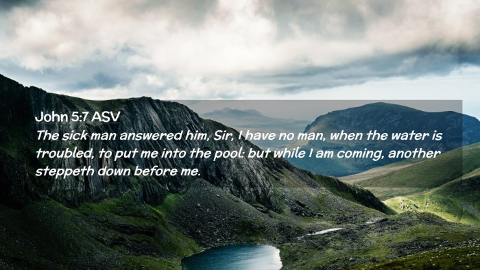 Picture 02 - John 5:7 ASV Desktop Wallpaper - The sick man answered him, Sir, I have no man, - Desktop Bible Verse Wallpaper