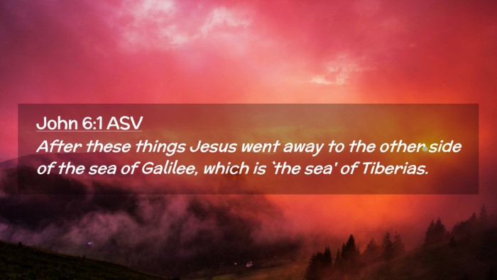 Picture 02 - John 6:1 ASV Desktop Wallpaper - After these things Jesus went away to the other - Desktop Bible Verse Wallpaper