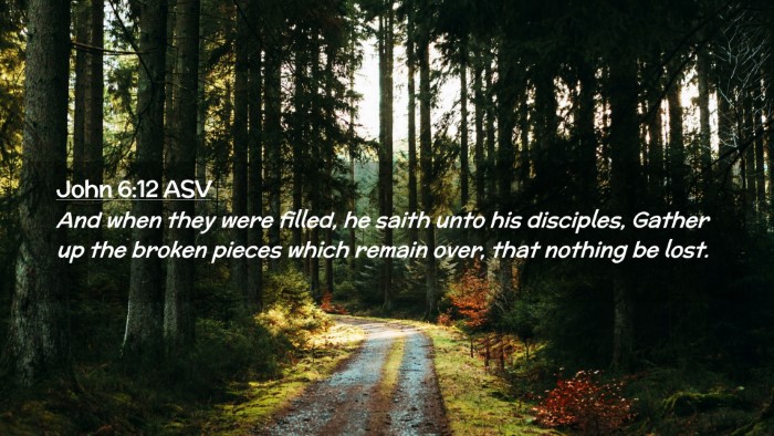 Picture 02 - John 6:12 ASV Desktop Wallpaper - And when they were filled, he saith unto his - Desktop Bible Verse Wallpaper