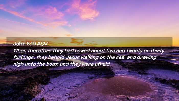 Picture 02 - John 6:19 ASV Desktop Wallpaper - When therefore they had rowed about five and - Desktop Bible Verse Wallpaper