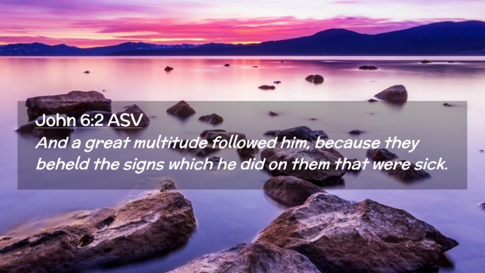 Picture 02 - John 6:2 ASV Desktop Wallpaper - And a great multitude followed him, because they - Desktop Bible Verse Wallpaper