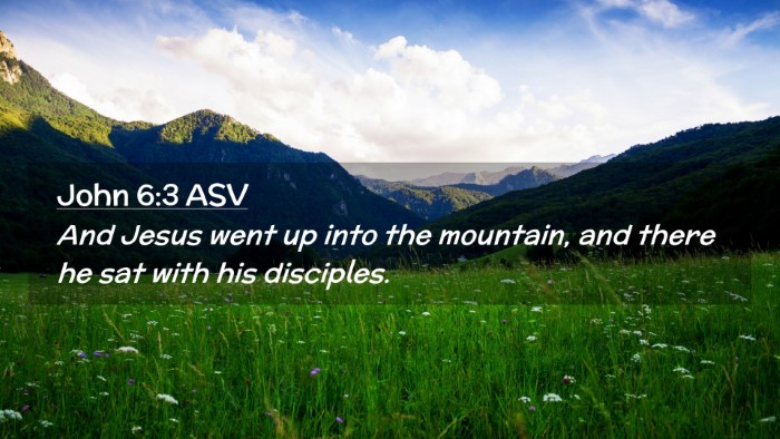 Picture 02 - John 6:3 ASV Desktop Wallpaper - And Jesus went up into the mountain, and there he - Desktop Bible Verse Wallpaper