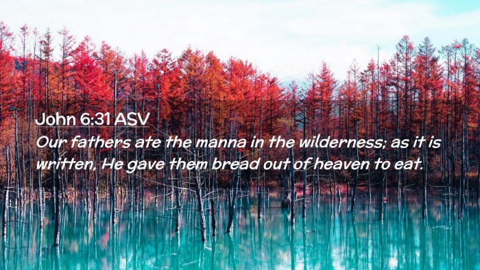Picture 02 - John 6:31 ASV Desktop Wallpaper - Our fathers ate the manna in the wilderness; as - Desktop Bible Verse Wallpaper