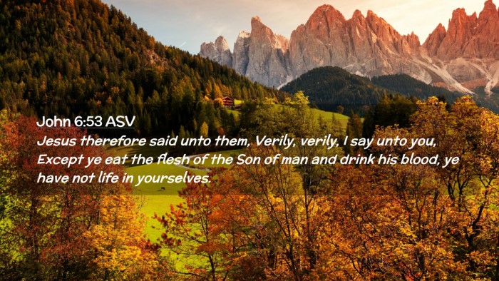 Picture 02 - John 6:53 ASV Desktop Wallpaper - Jesus therefore said unto them, Verily, verily, I - Desktop Bible Verse Wallpaper