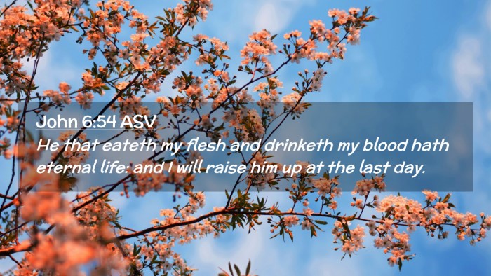 Picture 02 - John 6:54 ASV Desktop Wallpaper - He that eateth my flesh and drinketh my blood - Desktop Bible Verse Wallpaper