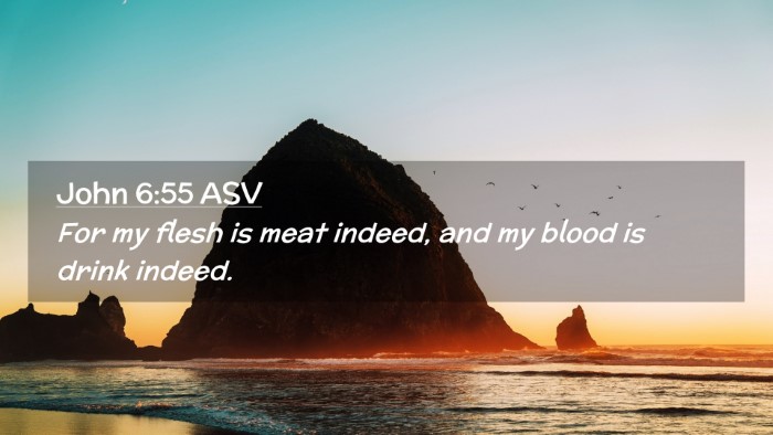 Picture 02 - John 6:55 ASV Desktop Wallpaper - For my flesh is meat indeed, and my blood is - Desktop Bible Verse Wallpaper
